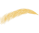 Untitled design (30)