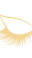 a (10)